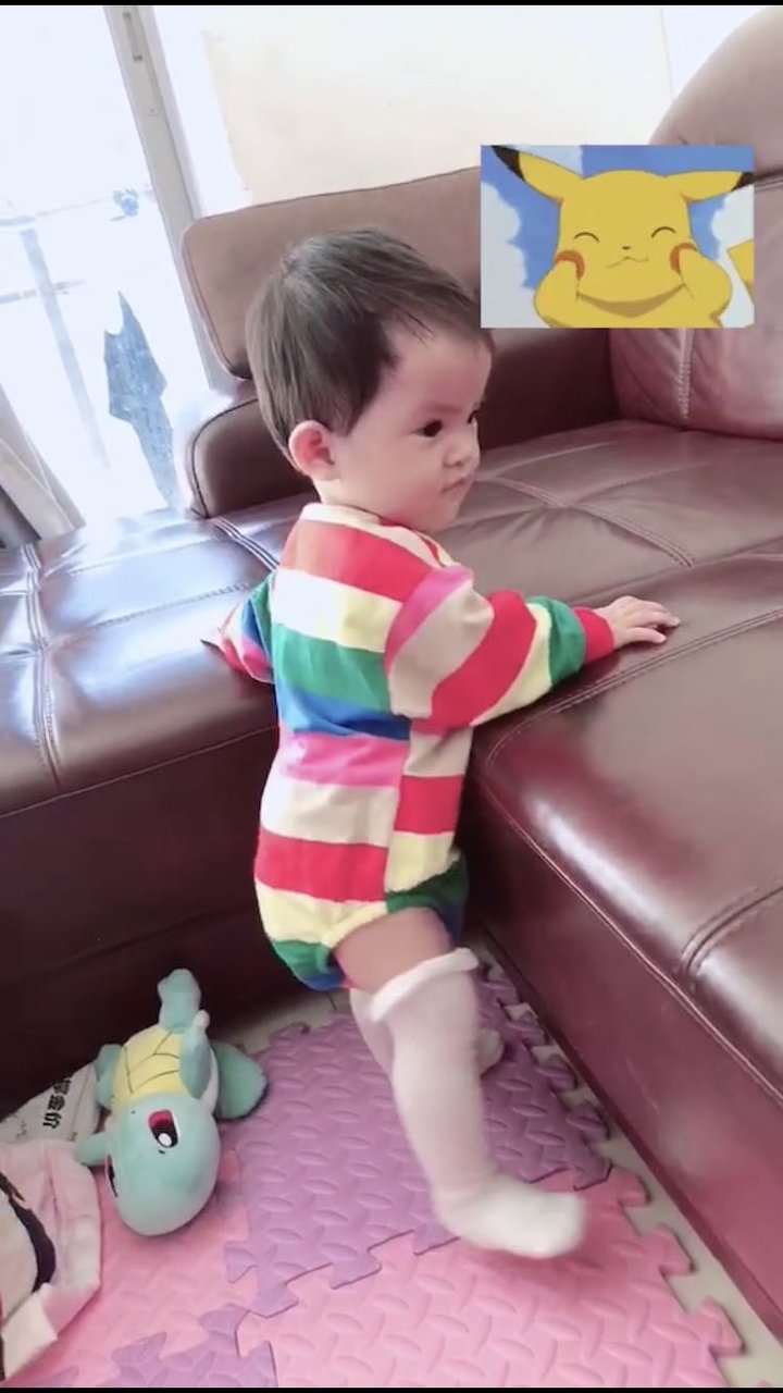 小小一只，会走路啦😘😘 请勇敢前进，去探索世界吧🌏