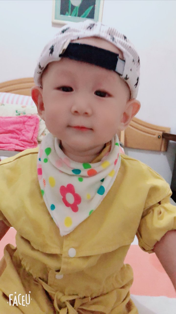 每天一点小幸福🌻