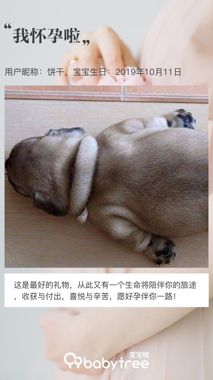 我怀孕啦