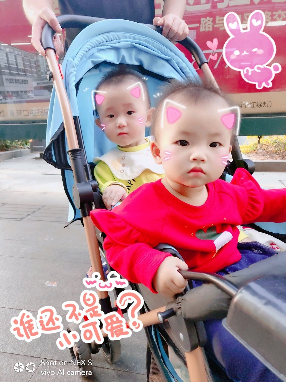 我和我的小伙伴