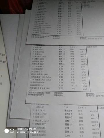 journal_insert_pic_1367156655