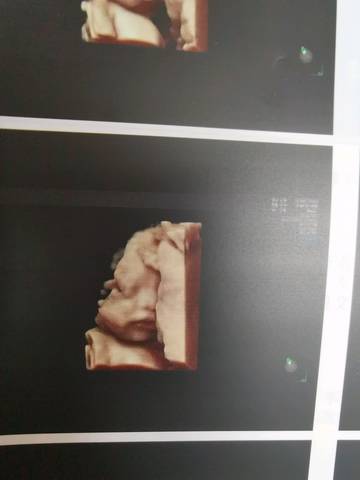 journal_insert_pic_1389289234