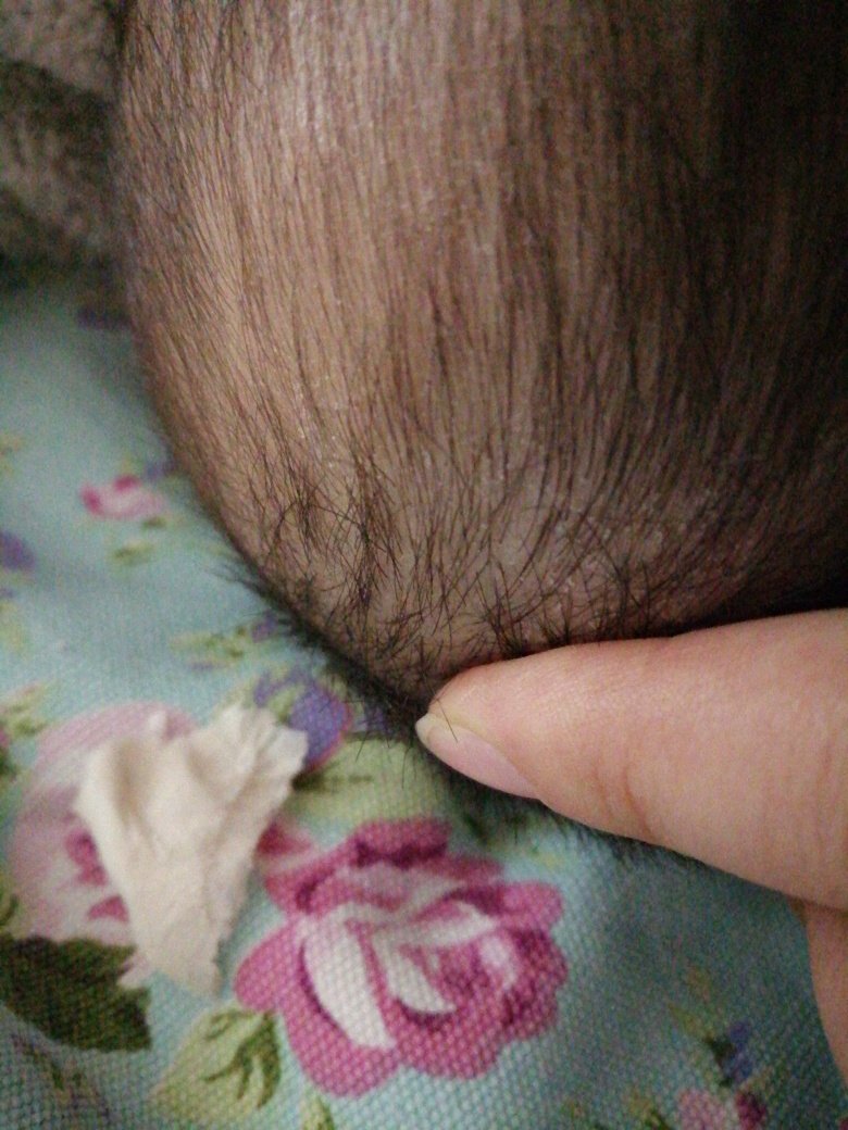 一岁多点宝宝出几颗牙