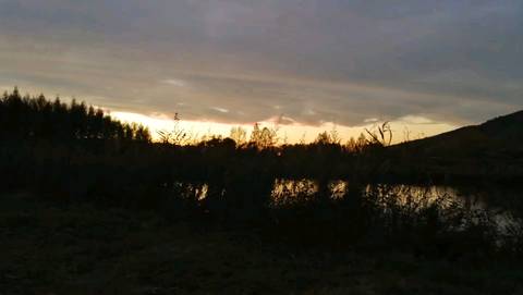 journal_insert_pic_1510577696