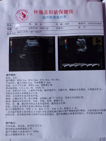 journal_insert_pic_1522943410