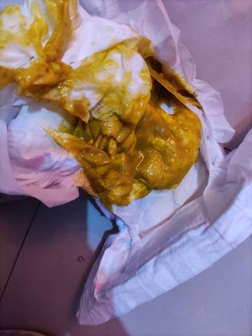 有没有知道这拉屎正常吗,一天两次,四个多月了