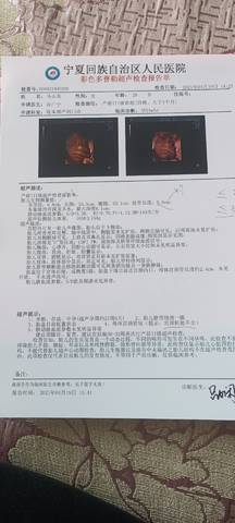 journal_insert_pic_1567173317
