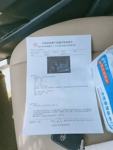 journal_insert_pic_1573370874