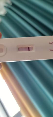 请问几次测验孕棒 都有二条 一条是白色是什么意思?怀孕了吗