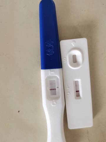 journal_insert_pic_1596104637