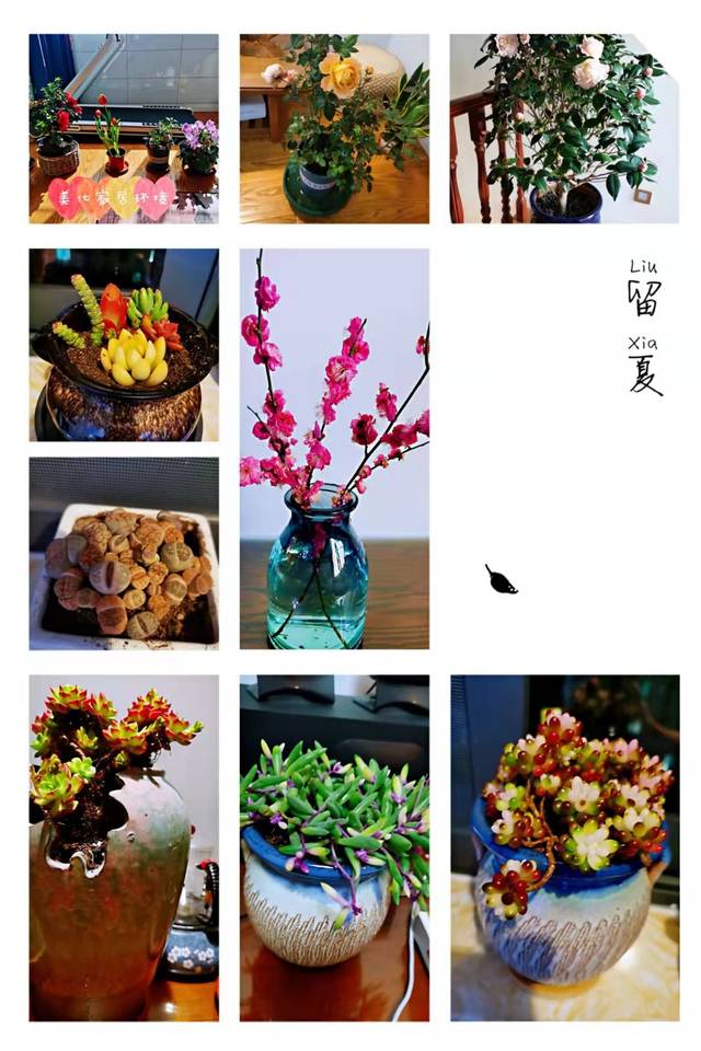 journal_insert_pic_1630626786