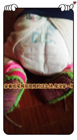 journal_insert_pic_1646234342
