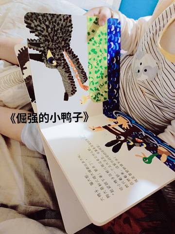 journal_insert_pic_1658263459