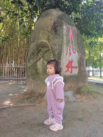 journal_insert_pic_1670915571