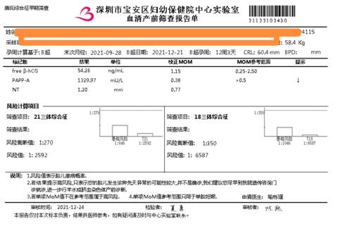 journal_insert_pic_1685972315