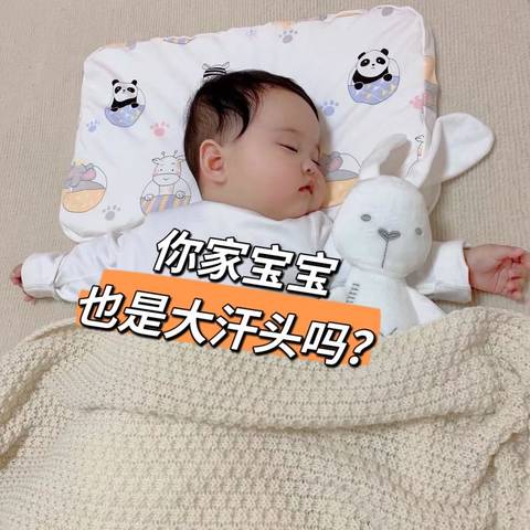 journal_insert_pic_1694969623