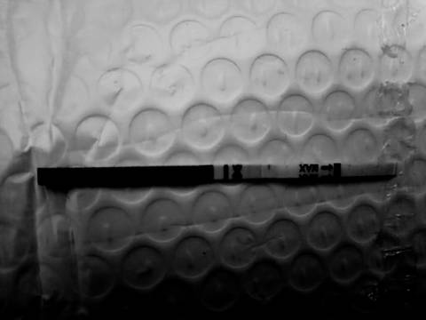 journal_insert_pic_1697858781