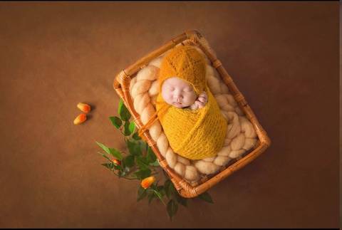 journal_insert_pic_1727775009