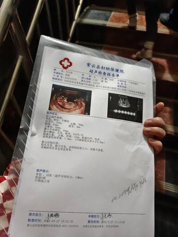 journal_insert_pic_1743350445