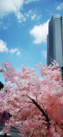 journal_insert_pic_1752418819