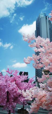 journal_insert_pic_1752418828