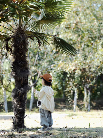 journal_insert_pic_1863609727