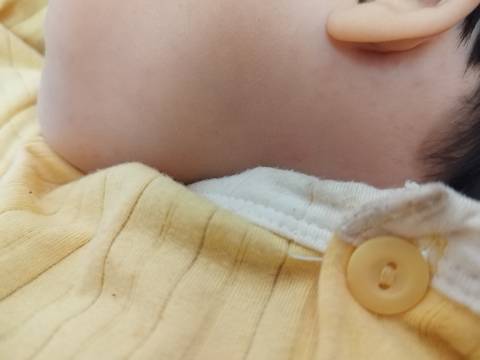 journal_insert_pic_1891746990