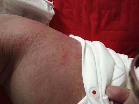 journal_insert_pic_1905248475