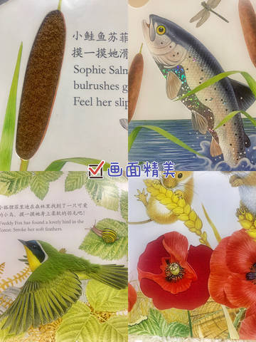 journal_insert_pic_1920670322