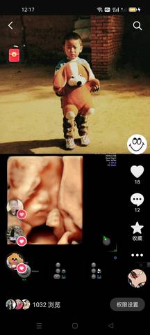 journal_insert_pic_2004777903