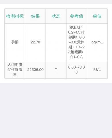 journal_insert_pic_4086371512