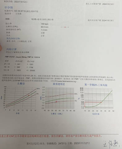 journal_insert_pic_4086618179