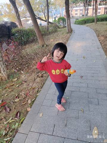 journal_insert_pic_4088757340