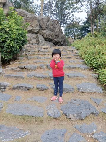 journal_insert_pic_4088757318