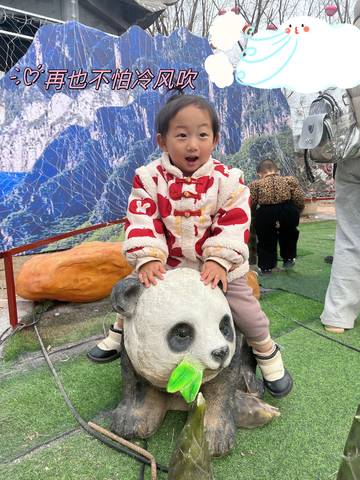 journal_insert_pic_4098265424