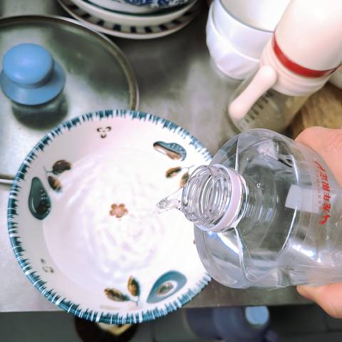 journal_insert_pic_4099502353