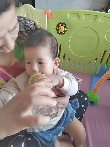 journal_insert_pic_4100411161