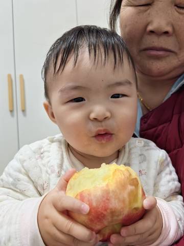 journal_insert_pic_4103106605