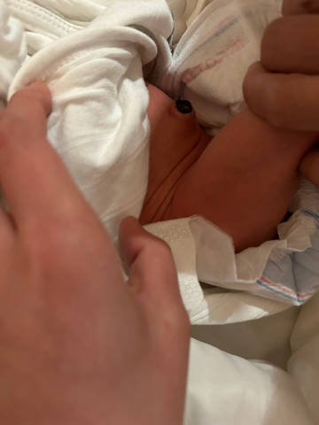 journal_insert_pic_4105287140