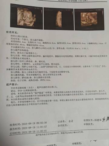 journal_insert_pic_4117384420