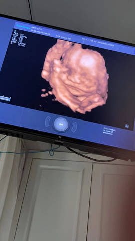 journal_insert_pic_4117508816