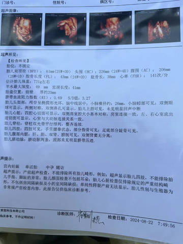 journal_insert_pic_4117508815