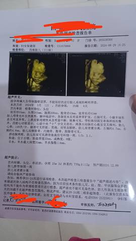 journal_insert_pic_4117866708