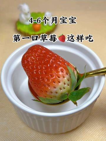 journal_insert_pic_4118973976