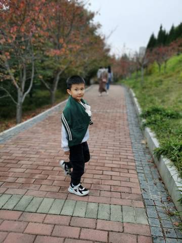 journal_insert_pic_4120904222