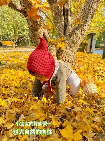 journal_insert_pic_4121273397