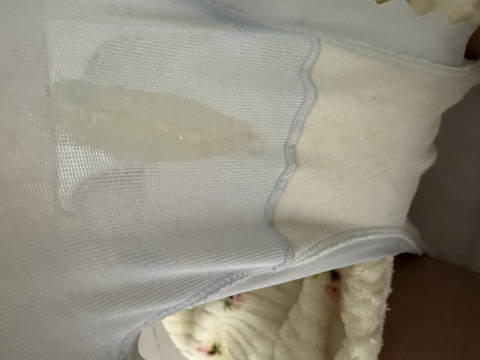 journal_insert_pic_4123796579