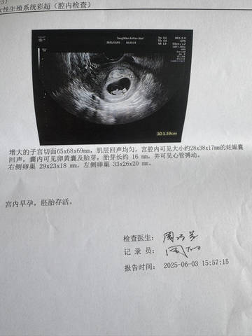 journal_insert_pic_4362114670