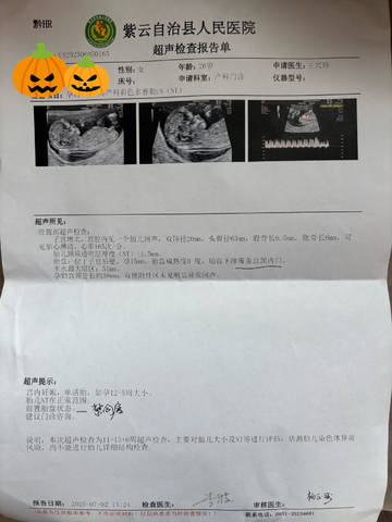 journal_insert_pic_4362850916