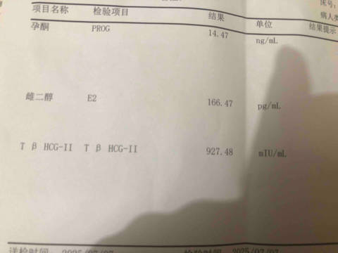 journal_insert_pic_4362989017